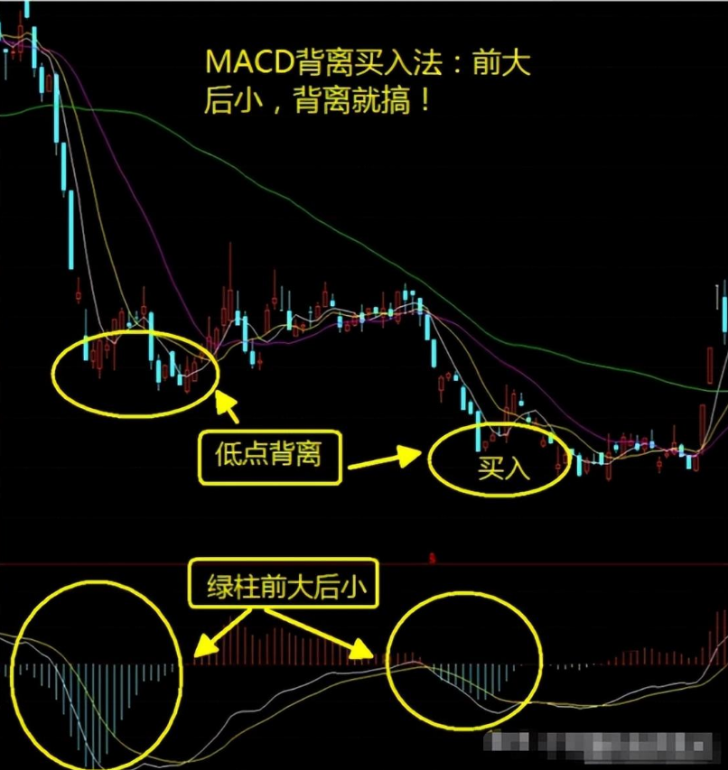 炒股成功的人有多可怕？写给正在亏损的散户只有顿悟才能大富！