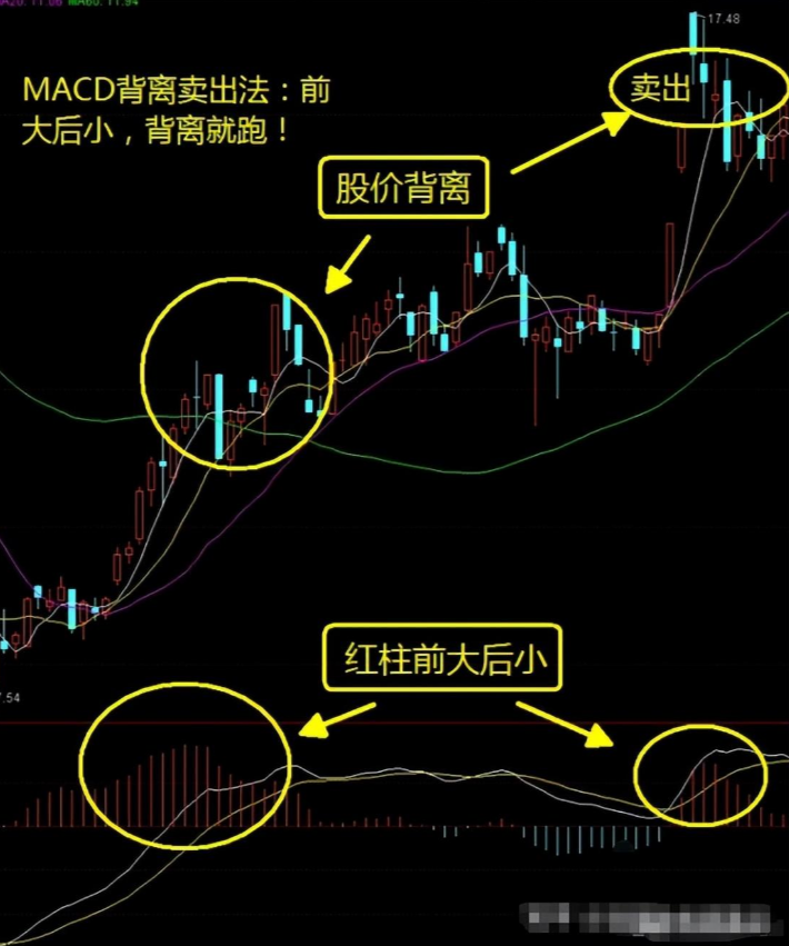 炒股成功的人有多可怕？写给正在亏损的散户只有顿悟才能大富！