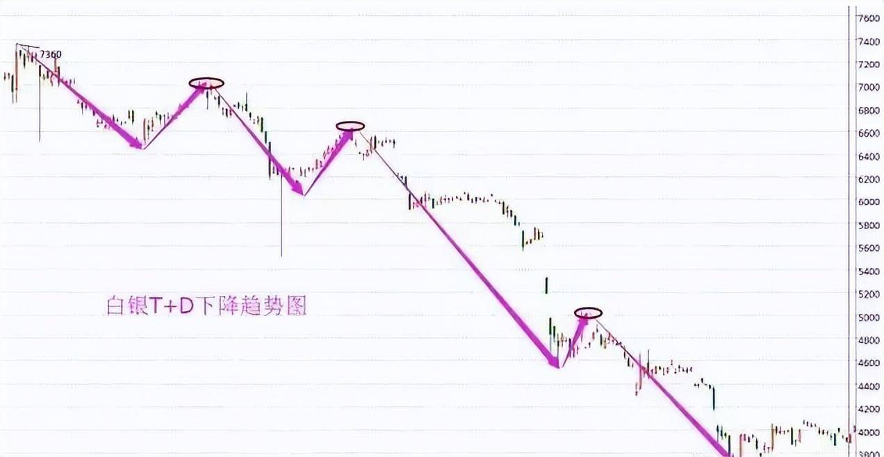 如果想在股市赚钱第一要点趋势必须看懂散户看完受益匪浅