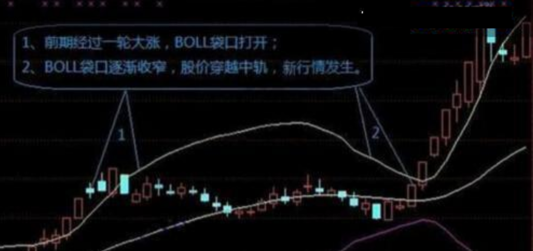 中国股市这是我见过散户与交易最透彻的文章看不懂请不要炒股
