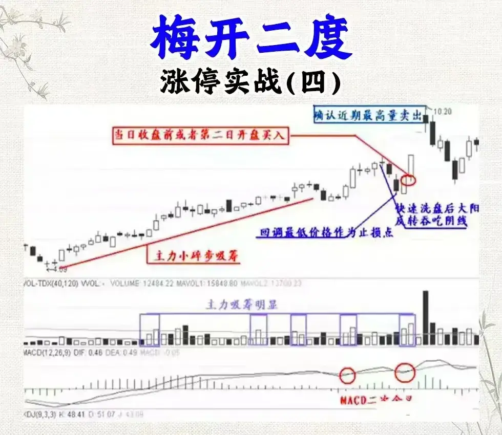 炒股还看不懂涨停信号难怪会亏！老股民公开战法大全看到赚到