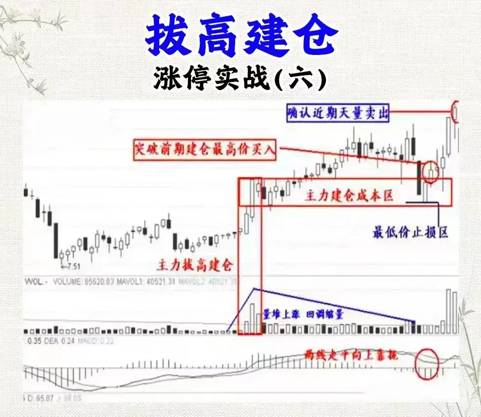 炒股还看不懂涨停信号难怪会亏！老股民公开战法大全看到赚到