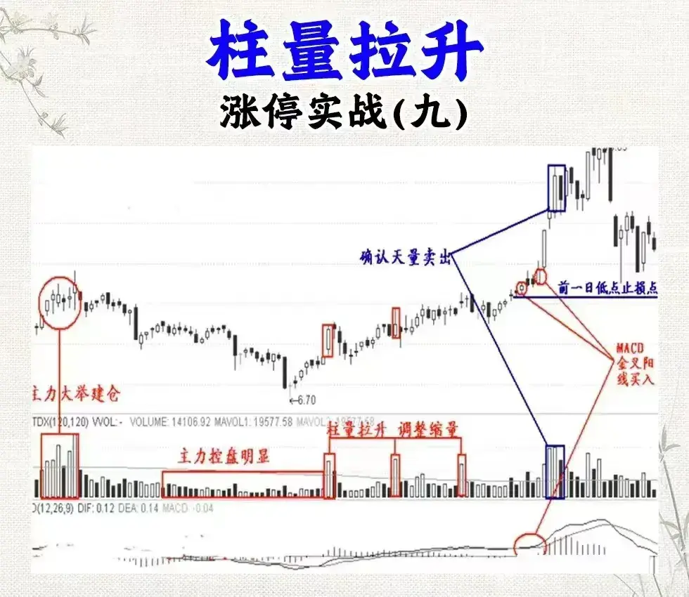 炒股还看不懂涨停信号难怪会亏！老股民公开战法大全看到赚到