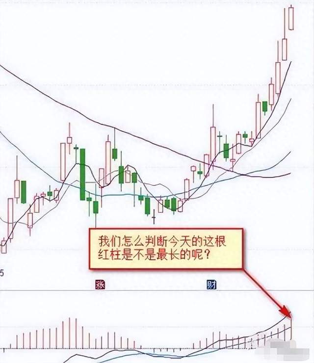 中国股市最有效的MACD金叉学懂悟透像麻雀一样炒股！