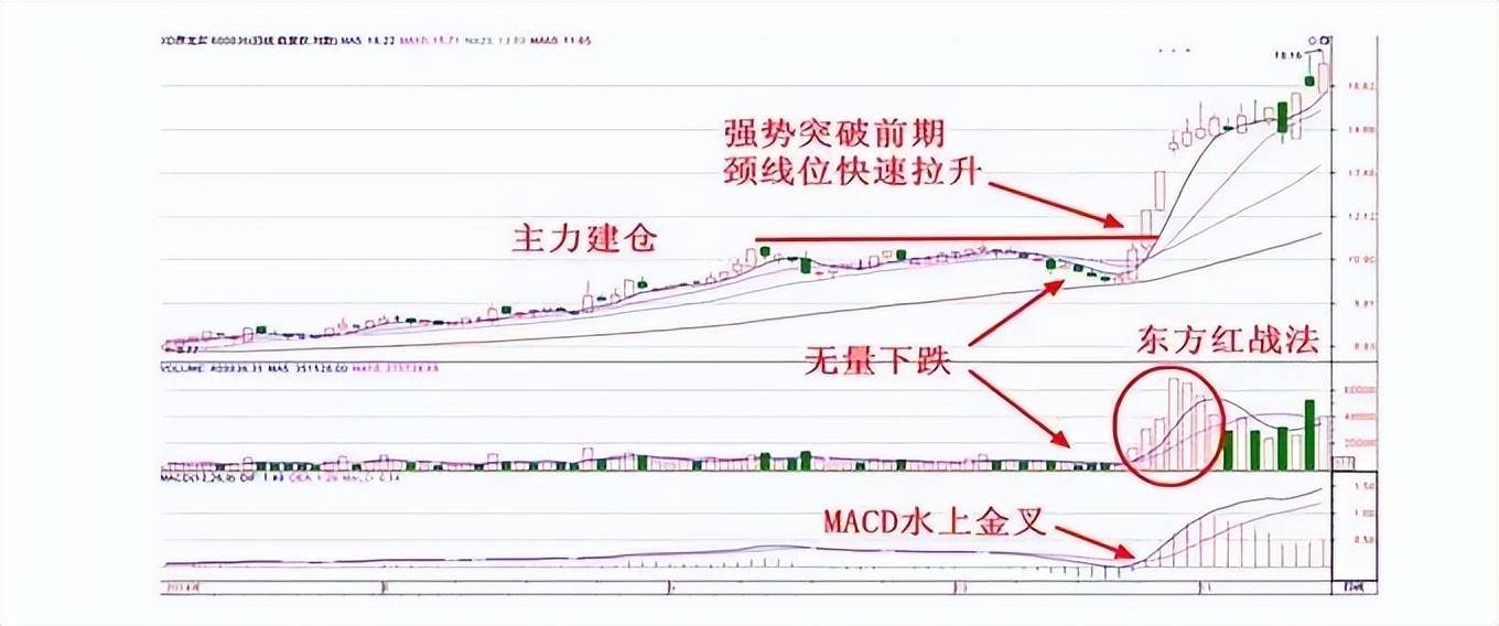 炒股是一件简单的事情只需死记五个数字10205060721