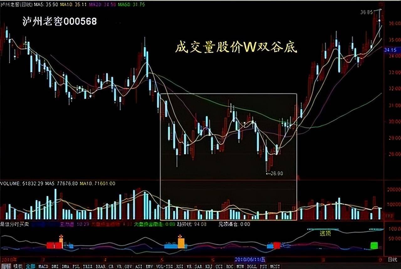股票投资真的可以实现财富自由吗？看完瞬间清醒大彻大悟