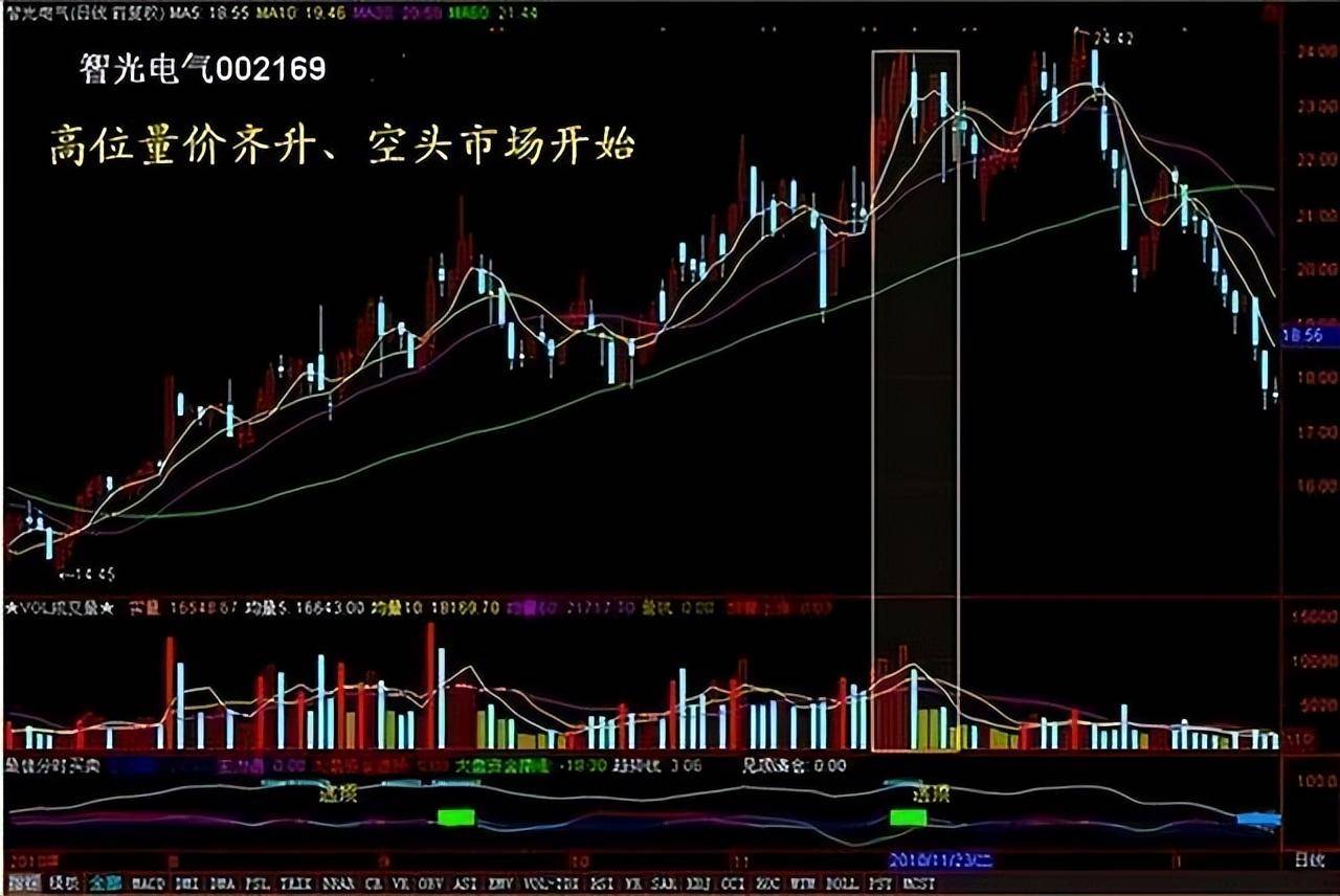 股票投资真的可以实现财富自由吗？看完瞬间清醒大彻大悟