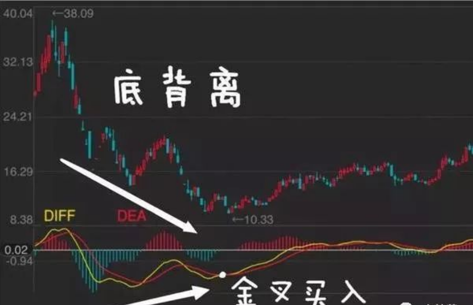 北大29岁金融女博士赠言炒股很简单的方法看完大彻大悟