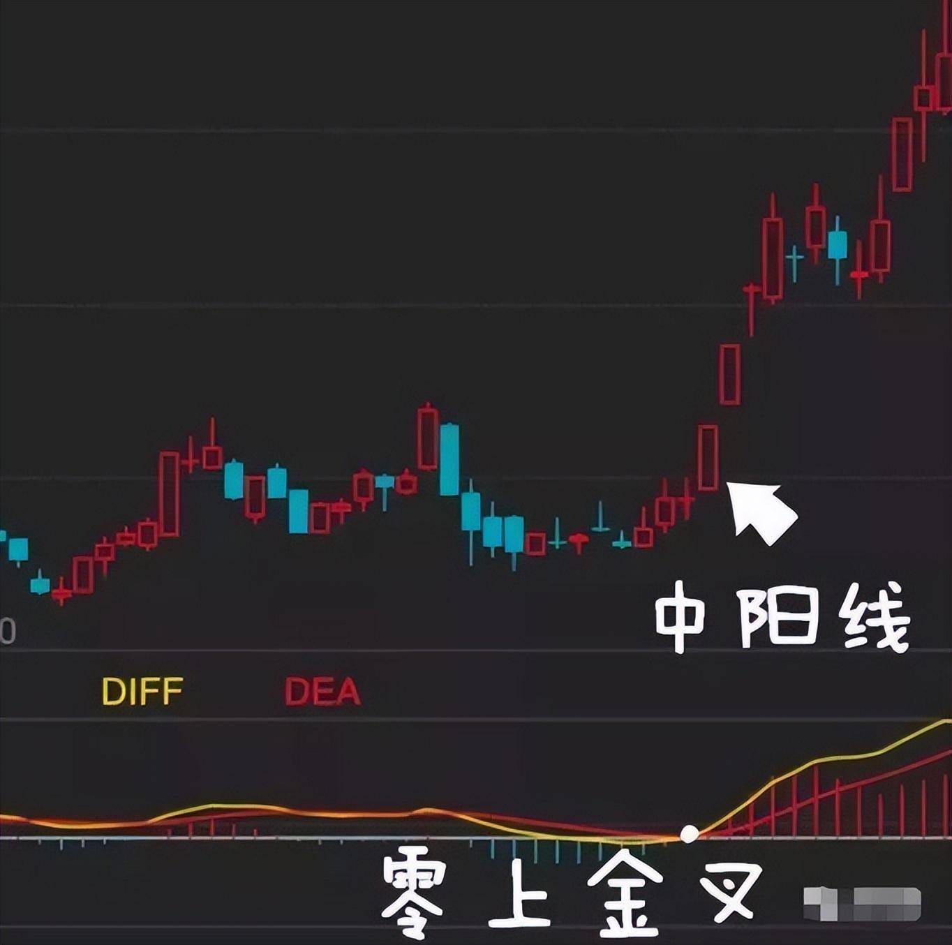 北大29岁金融女博士赠言炒股很简单的方法看完大彻大悟