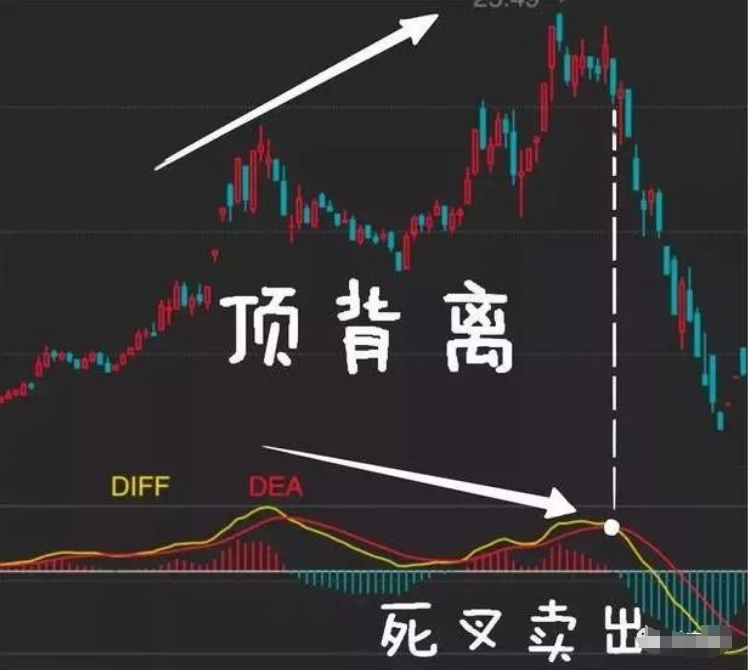 北大29岁金融女博士赠言炒股很简单的方法看完大彻大悟