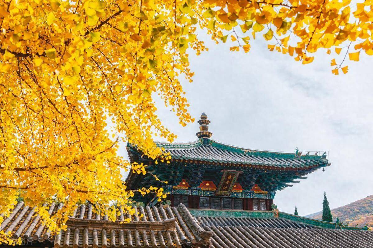 中国股市一旦学会集合竞价几乎逃过所有的下跌无一例外