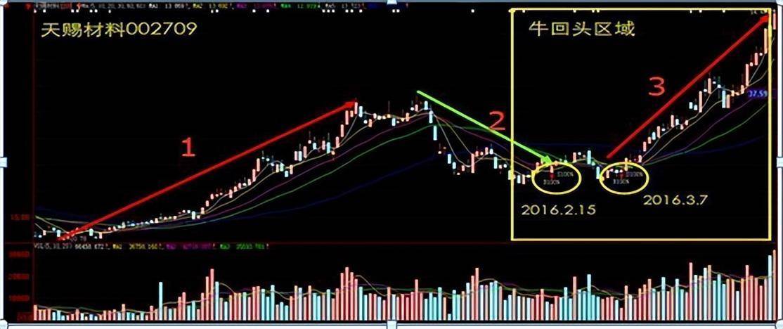炒股十六年从亏损50w到盈利800w只因我坚持牛回头短线战法！