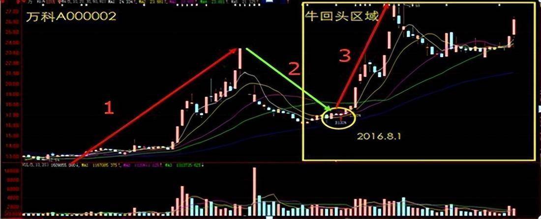 炒股十六年从亏损50w到盈利800w只因我坚持牛回头短线战法！