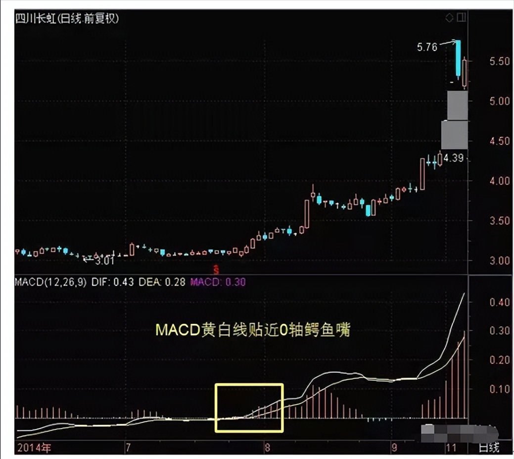 献给所有在中国股市沉浮的散户无论你信不信这就是中国股市！