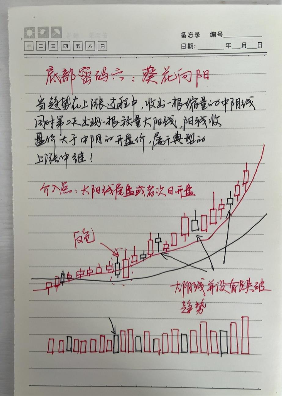 十五年老股民首次公开股市资产原来用的最简单最笨的操作方法！