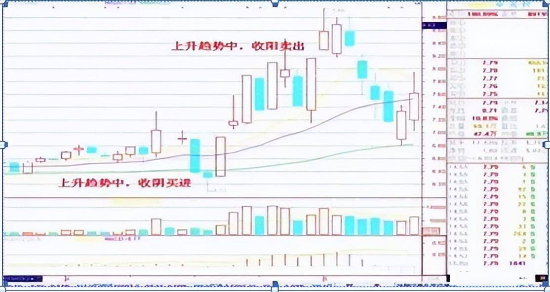 用一个母鸡的故事就把中国股市讲明白了送给正在股市挣扎的散户