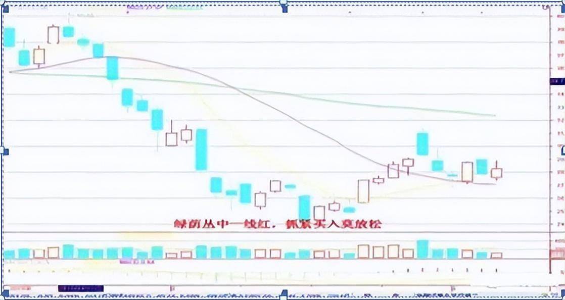 用一个母鸡的故事就把中国股市讲明白了送给正在股市挣扎的散户
