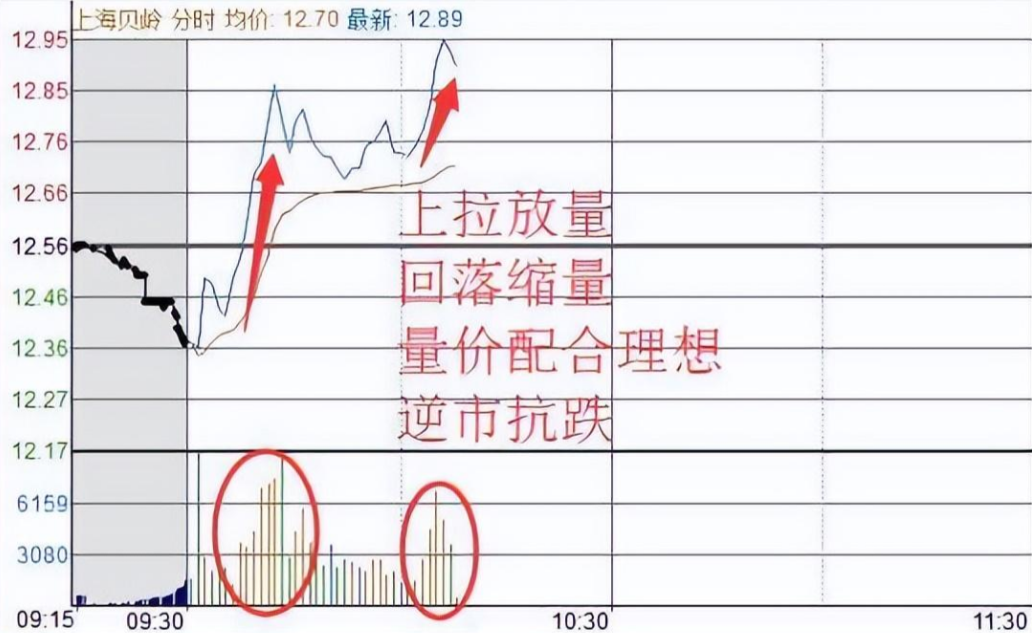 中国股市股市现在处于什么样的状态？献给股市中所有亏损的散户