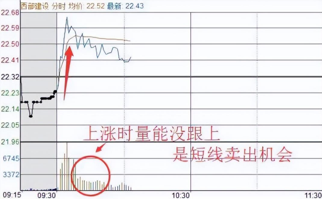 中国股市股市现在处于什么样的状态？献给股市中所有亏损的散户