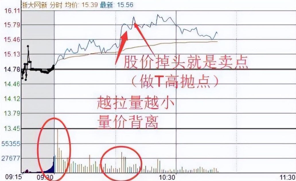 中国股市股市现在处于什么样的状态？献给股市中所有亏损的散户