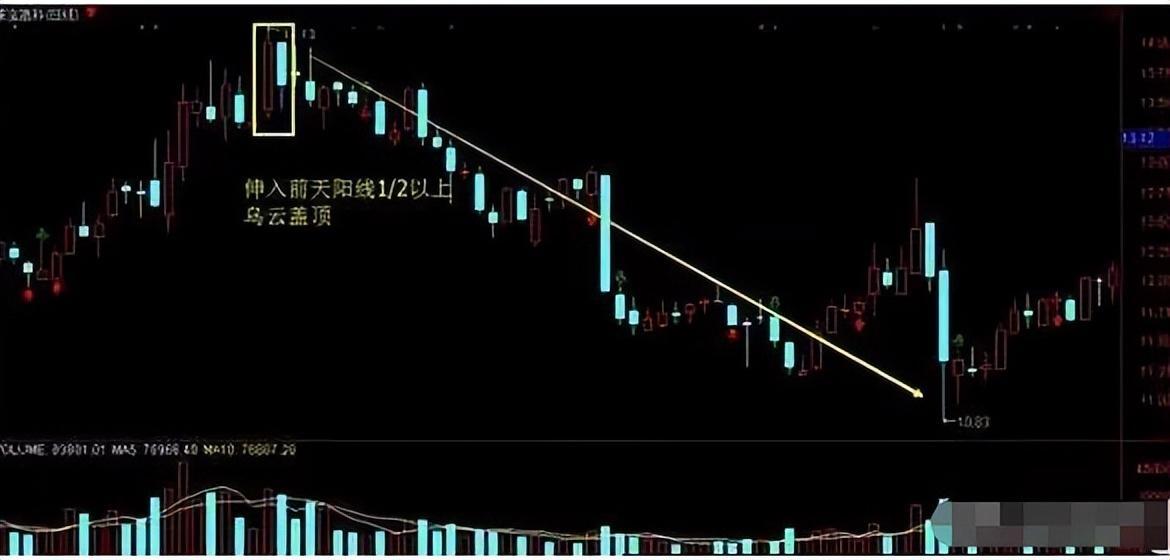 一位职业老股民酒后吐真言世间最好的交易方法就这4个字
