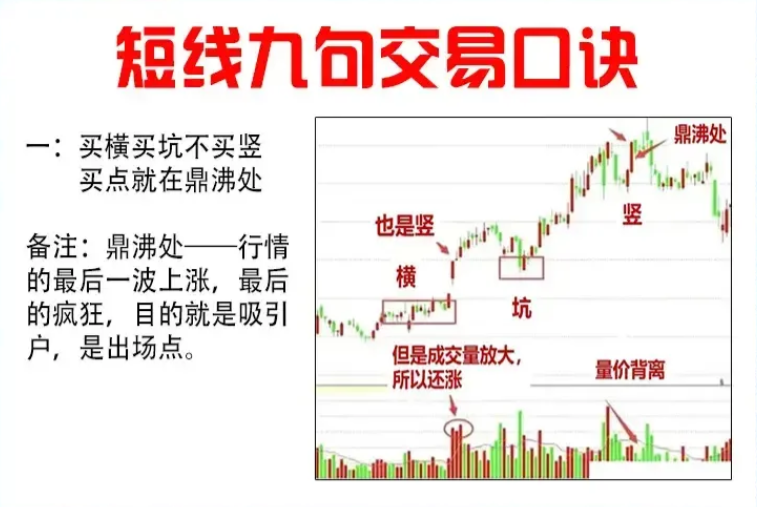 炒股真的能发财吗？长期坚持尾盘30分钟买入赚的盆满钵满！