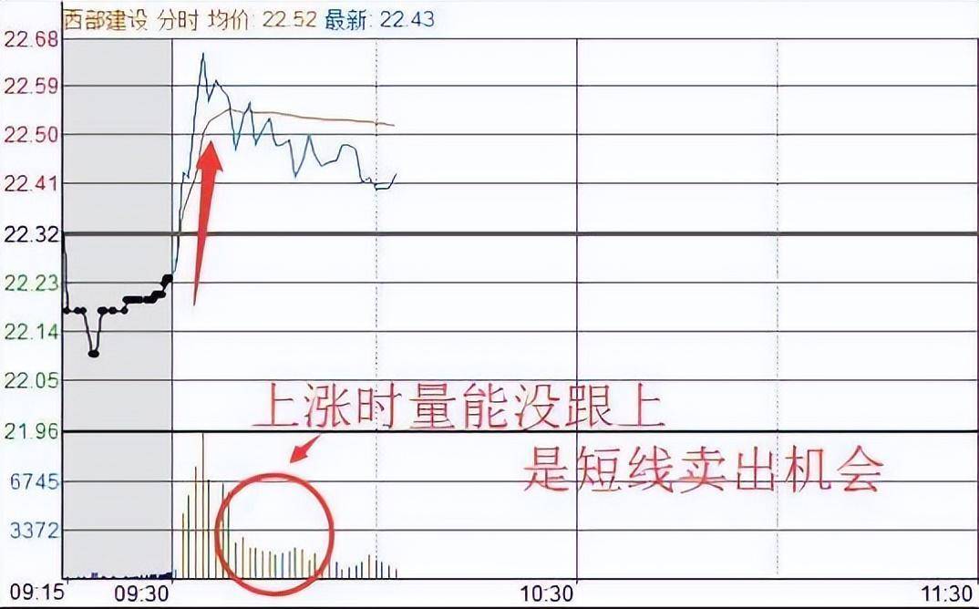 中国股市写给正在亏损的散户顿悟即可收获财富！谨记