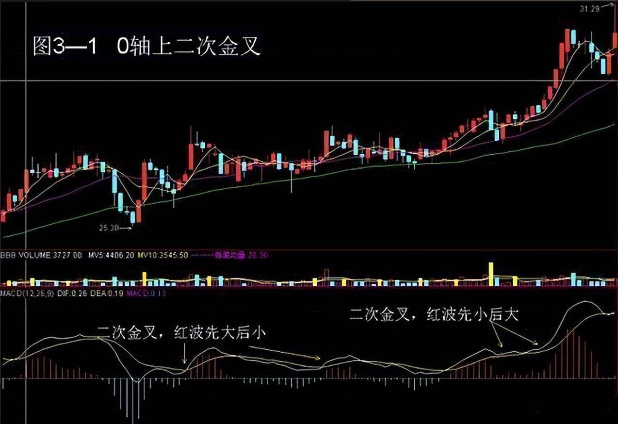 北京金融女博士箴言能从股市发财的只有一种人值得散户细品！