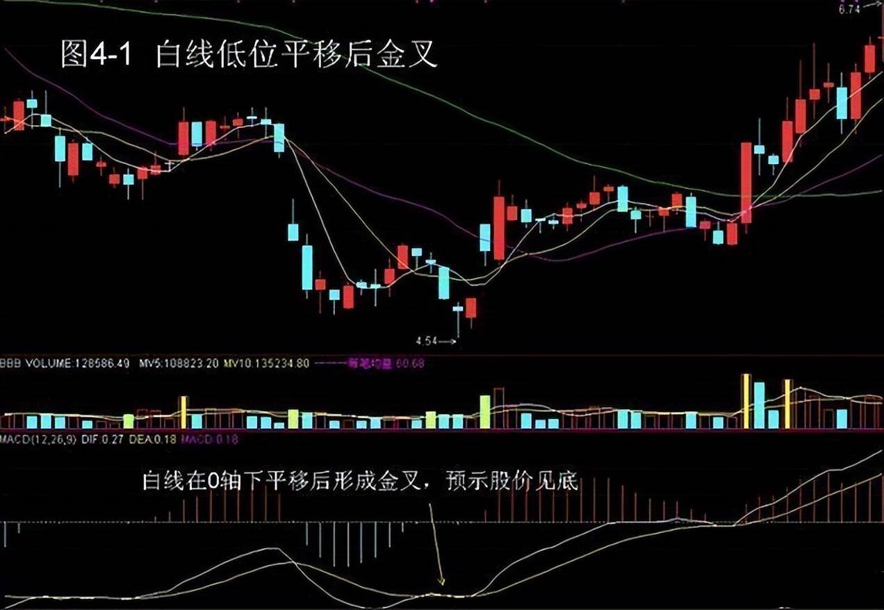 北京金融女博士箴言能从股市发财的只有一种人值得散户细品！
