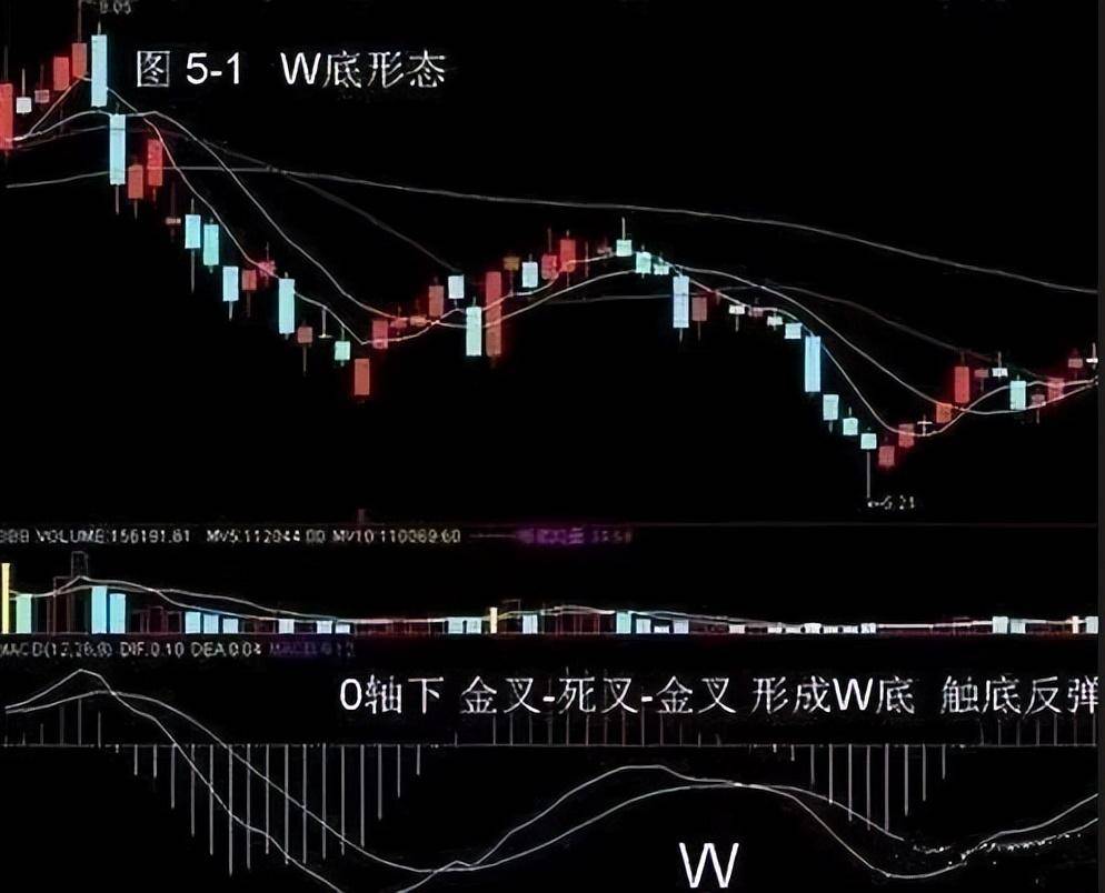 北京金融女博士箴言能从股市发财的只有一种人值得散户细品！
