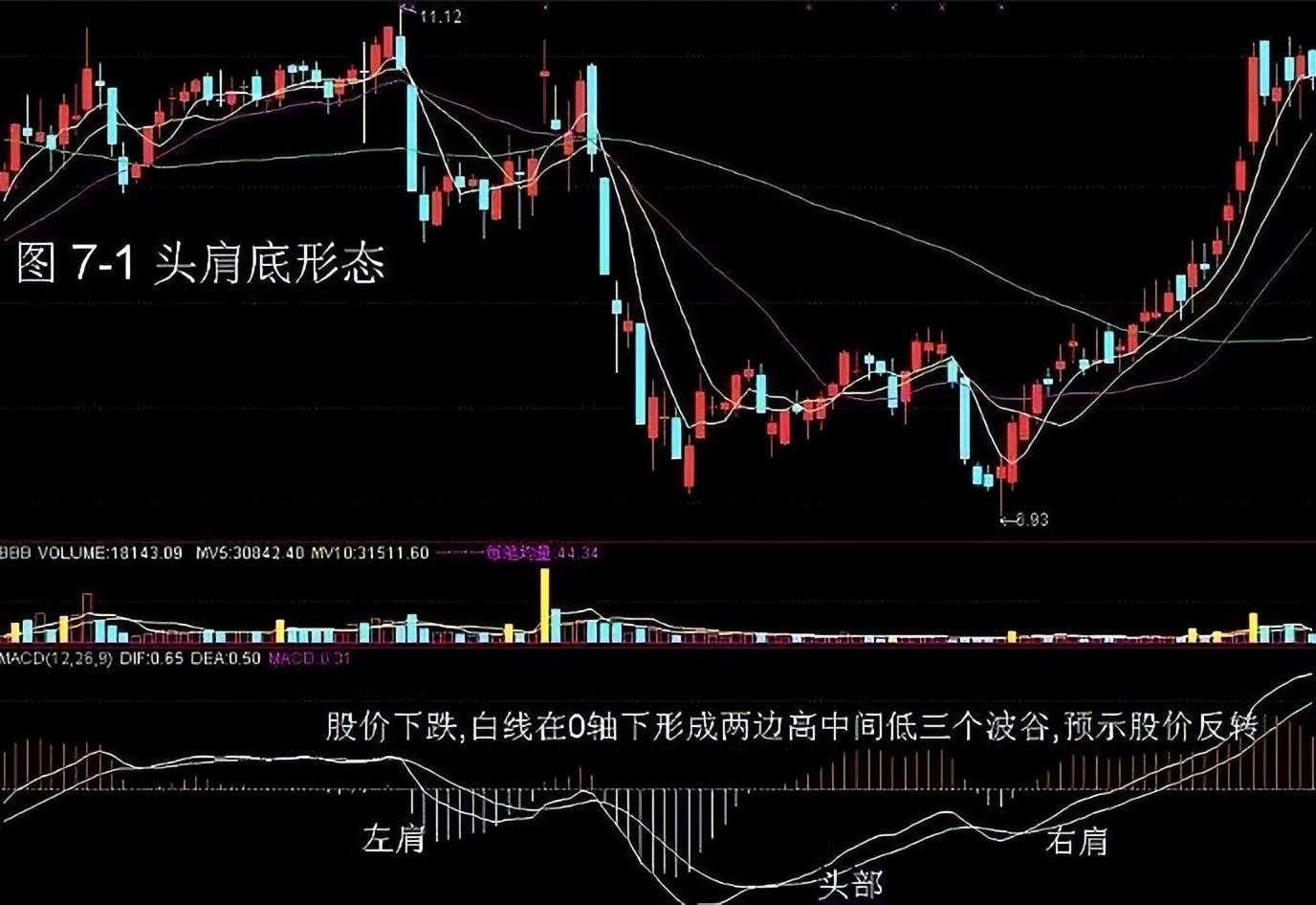 北京金融女博士箴言能从股市发财的只有一种人值得散户细品！