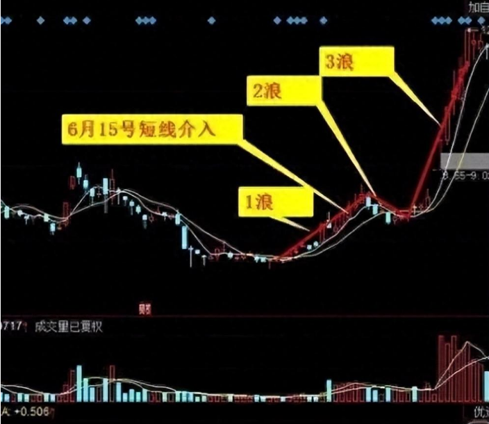 北京金融女博士箴言能从股市发财的只有一种人值得散户细品！