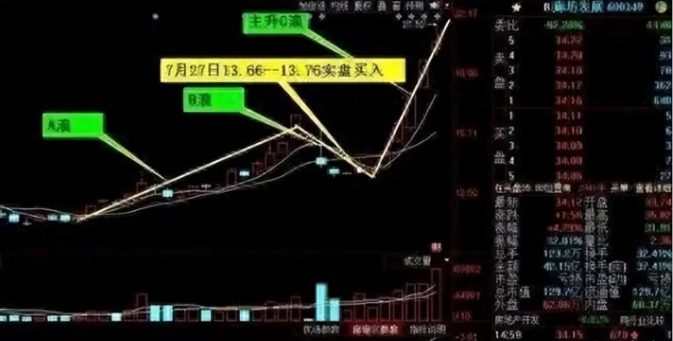 北京金融女博士箴言能从股市发财的只有一种人值得散户细品！