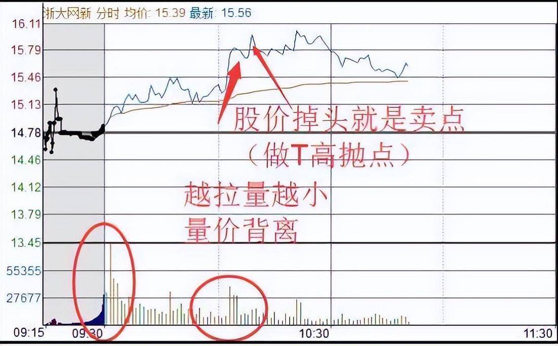 送给所有在中国股市亏损的散户无论你信不信这就是中国股市！