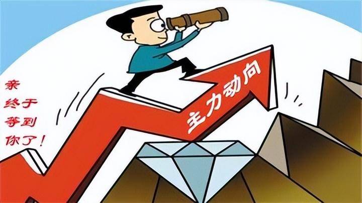 中国股市能在股市中存活二三十年的高手结局都怎么样了？
