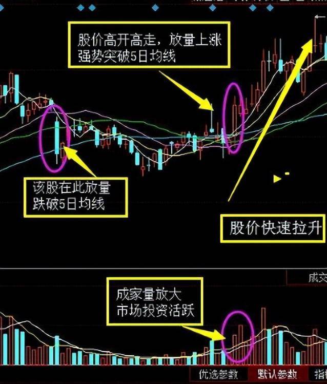 股市百年不变的黄金铁律五日不破不必操作涨幅从头吃到尾