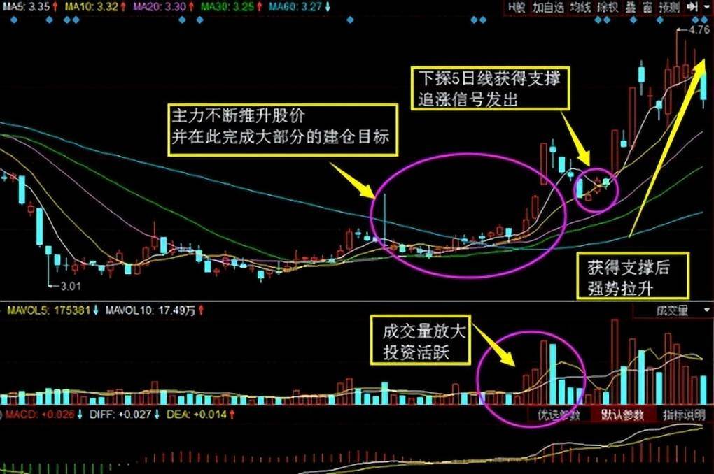 股市百年不变的黄金铁律五日不破不必操作涨幅从头吃到尾