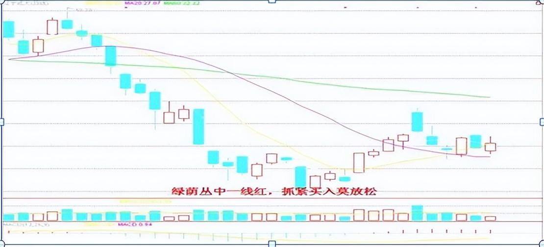 上海一位职业操盘手箴言坚决不能买的股票名单避而远之