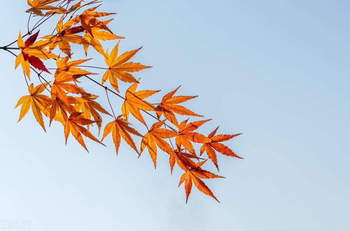 从亏损百万到顶级交易员耐心才是炒股的最高境界值得散户深思