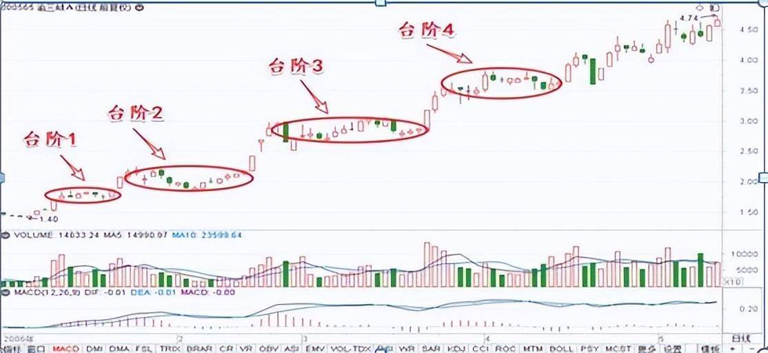 从亏损百万到顶级交易员耐心才是炒股的最高境界值得散户深思