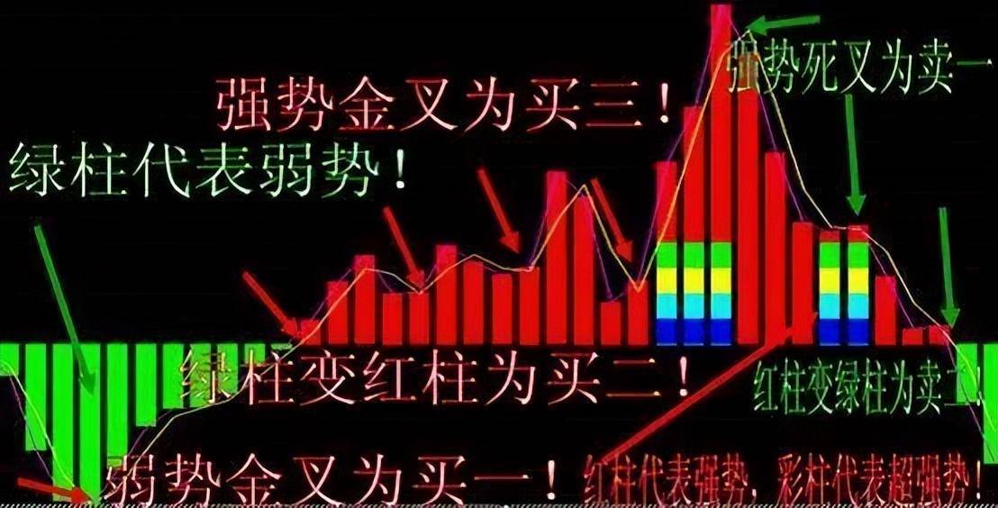 一位北大博士箴言全世界股票都是T0中国股市却是T1制度