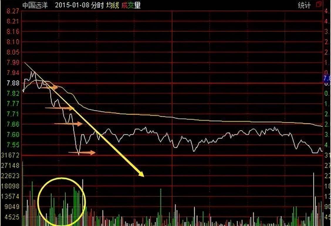 一位北大博士箴言全世界股票都是T0中国股市却是T1制度