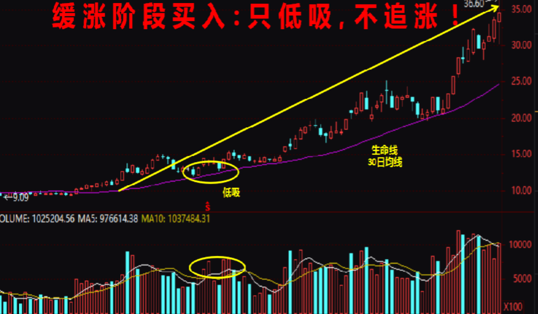 一位北大博士财富自由的秘诀短线擒牛战法看完大彻大悟