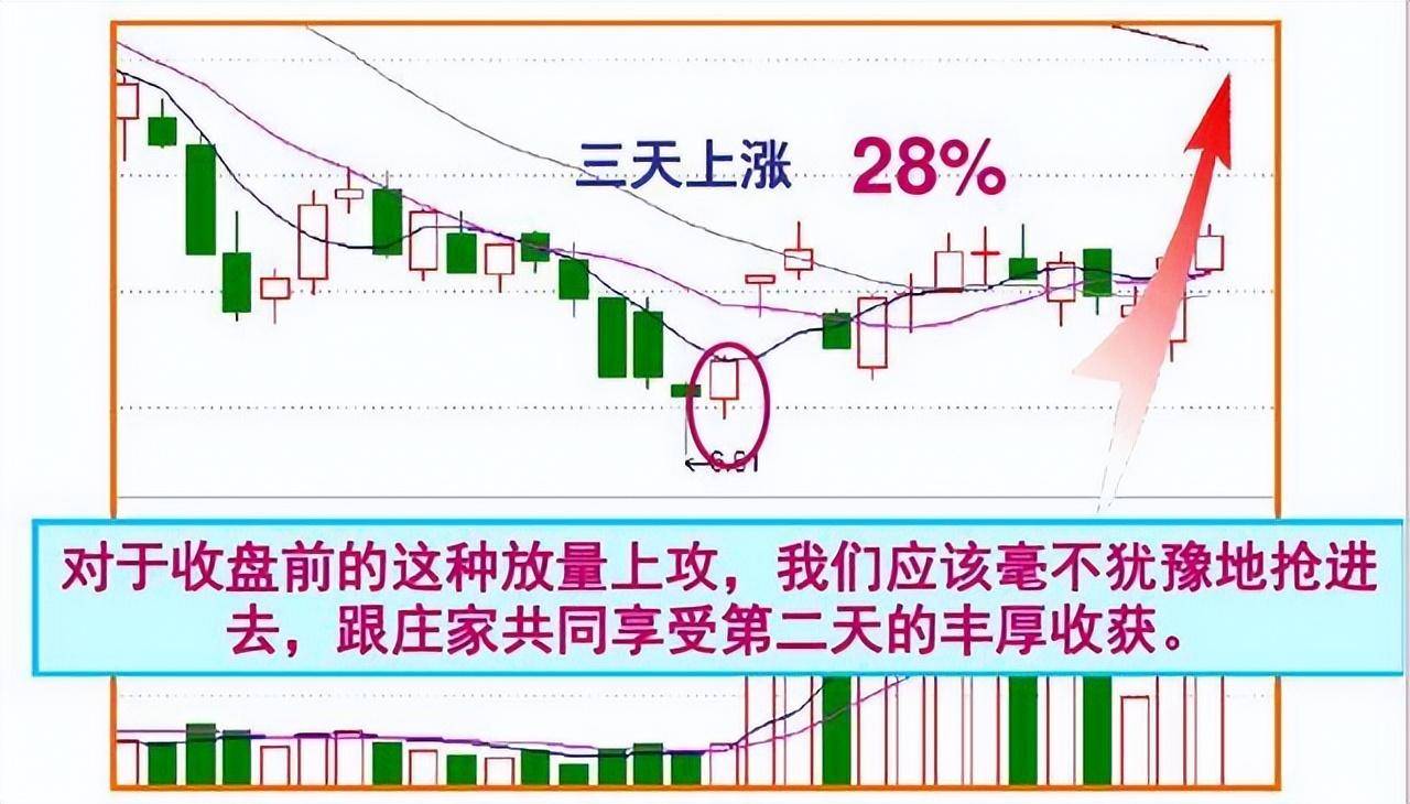 终于有人把盘口暗语讲明白了一旦熟练掌握庄家便无容身之地！