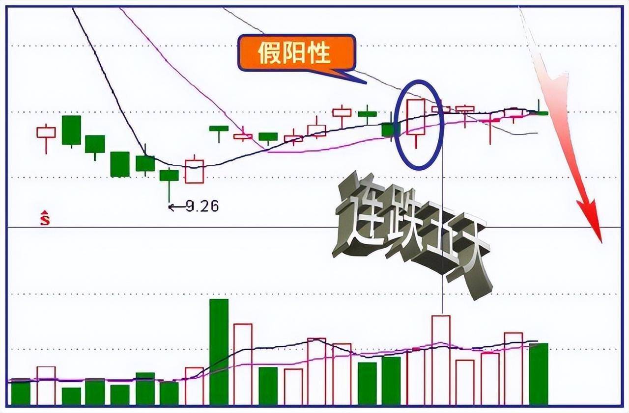 终于有人把盘口暗语讲明白了一旦熟练掌握庄家便无容身之地！