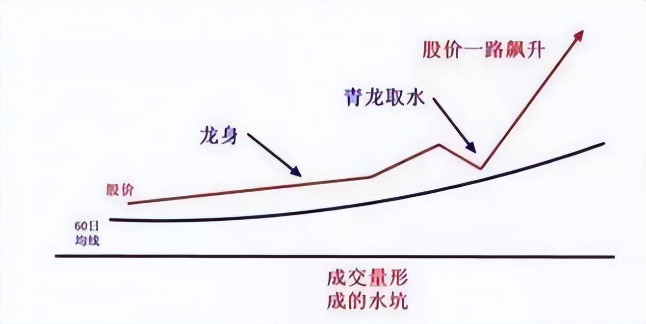 炒股成功的人都是用这种笨方法股市散户要谨记的10大铁律