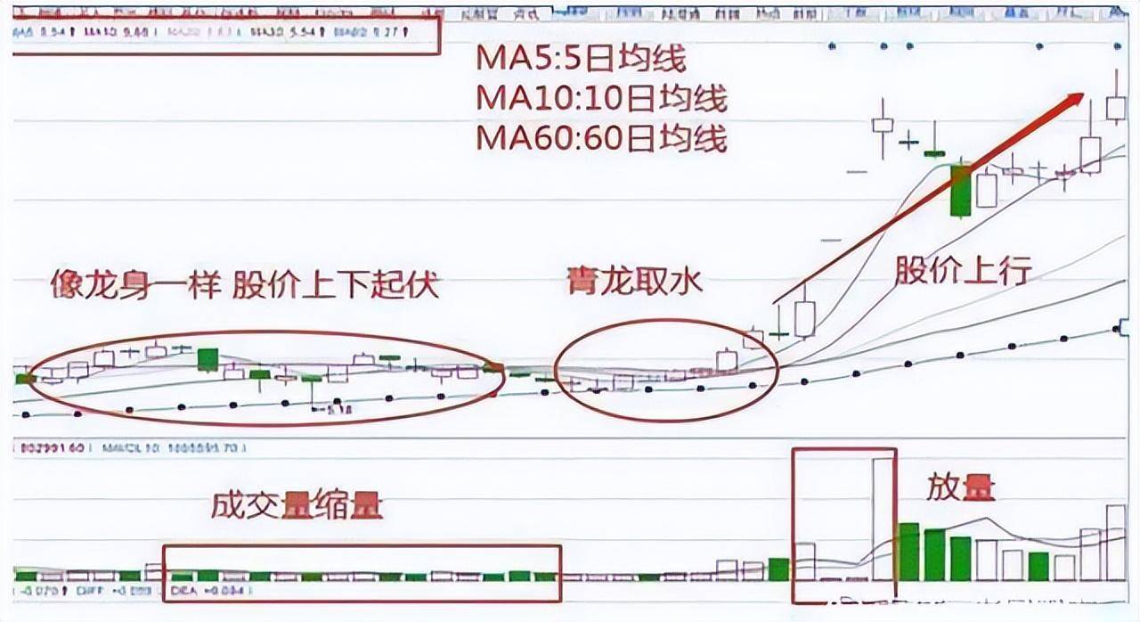 炒股成功的人都是用这种笨方法股市散户要谨记的10大铁律