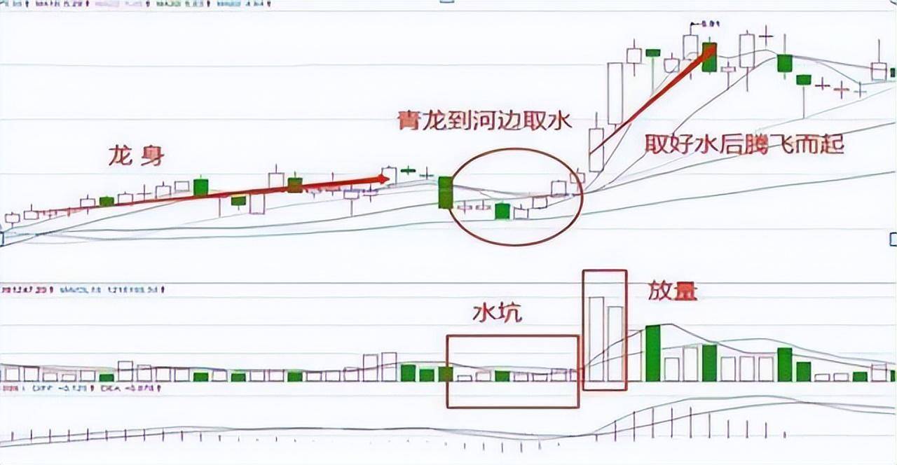 炒股成功的人都是用这种笨方法股市散户要谨记的10大铁律