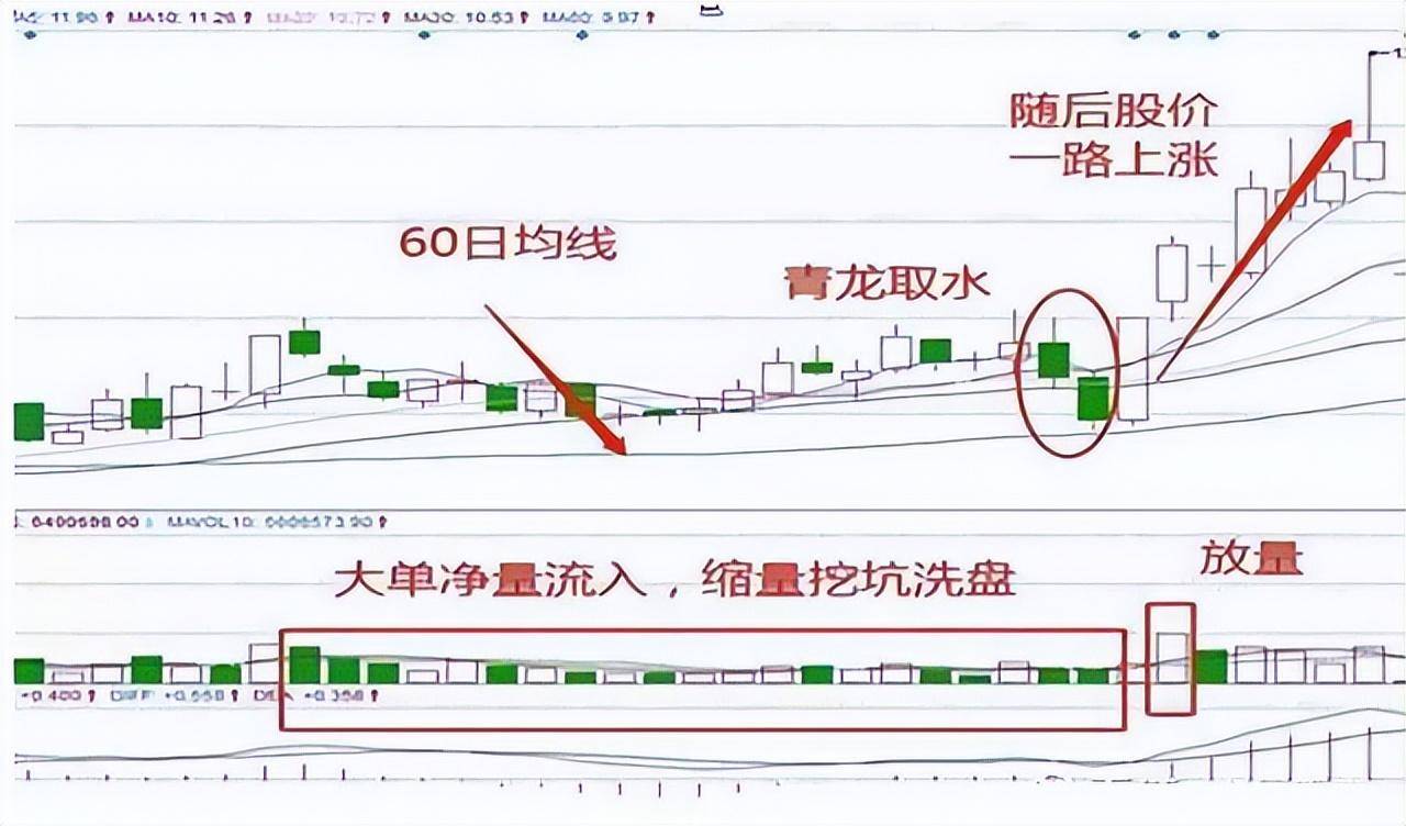 炒股成功的人都是用这种笨方法股市散户要谨记的10大铁律