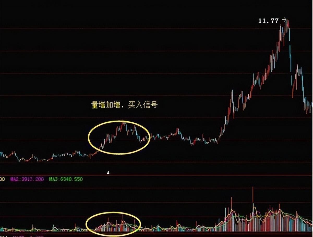 一位老股民的肺腑之言成交量从不骗人看完如梦初醒！